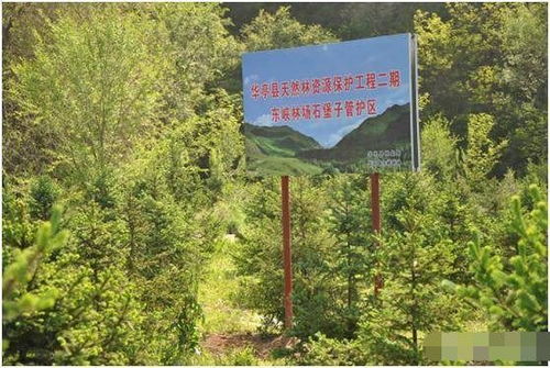 山林地被定性為自然林后的開(kāi)發(fā)限制與應(yīng)對(duì)策略