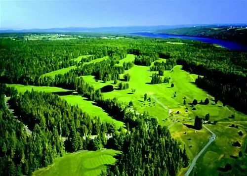 林業(yè)和草原應(yīng)對(duì)氣候變化取得新成效的商業(yè)啟示