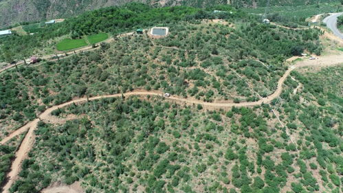 云南建投集團(tuán) 聚焦主業(yè)，以林業(yè)之力助推區(qū)域發(fā)展