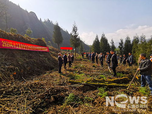 我縣開(kāi)展林業(yè)生態(tài)恢復(fù)司法補(bǔ)種復(fù)綠活動(dòng)